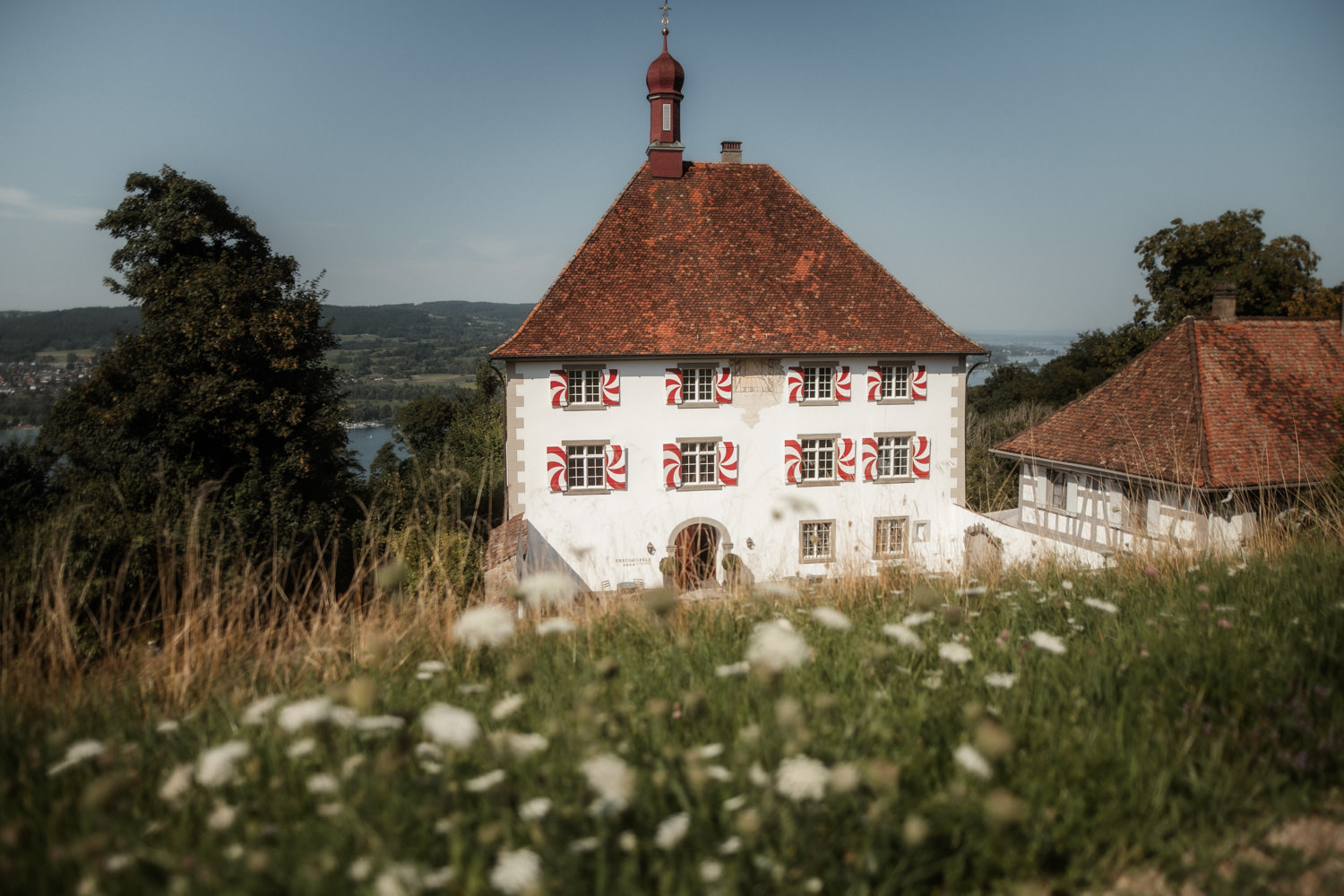Schloss Freudenfels mit Blumenwiese