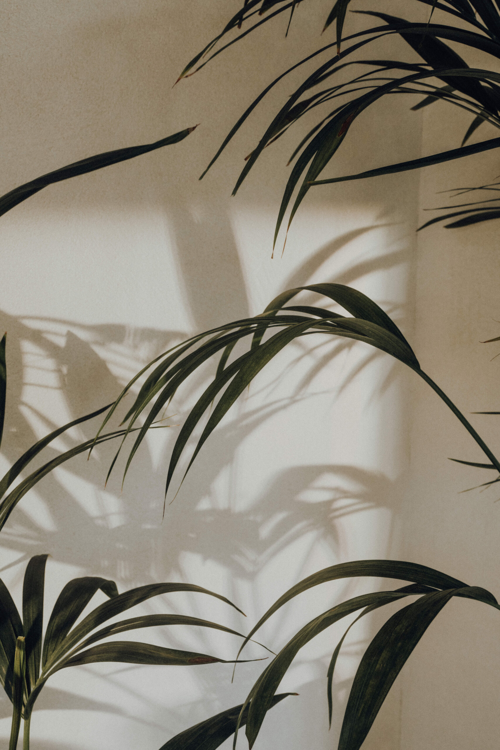 Hochzeitsfotograf Zürich- Trice Gantner